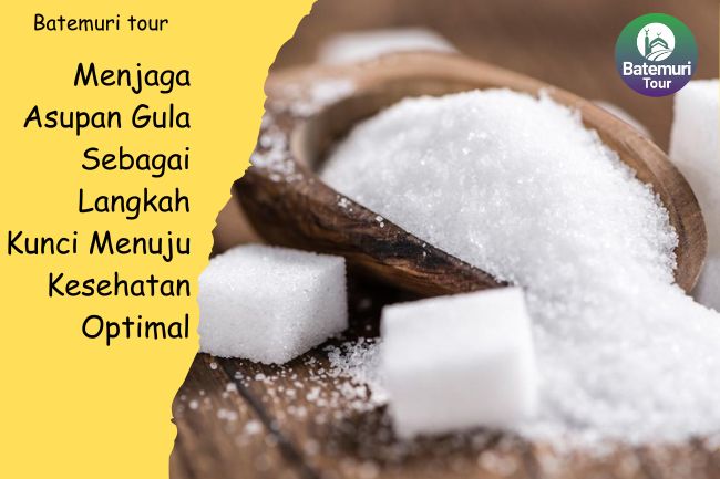 Menjaga Asupan Gula Sebagai Langkah Kunci Menuju Kesehatan Optimal